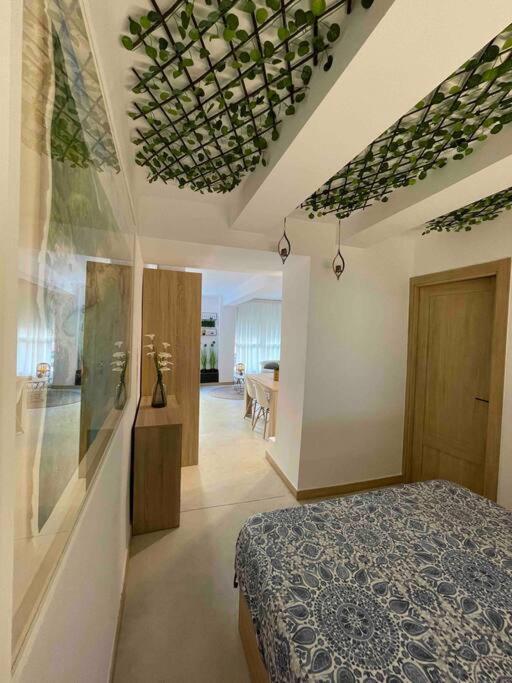 Apartamento Mediterráneo A 20M De La Playa Denia Exterior foto